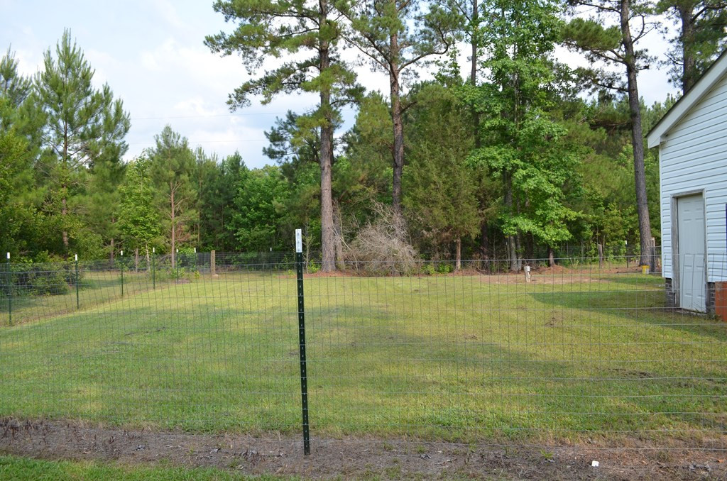 1661 Doughty Road Summerton, SC 29148 - Photo 6 of 35