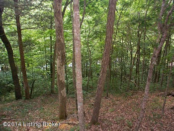 3250 Powder Mills Road Summersville, KY 42782 - Photo 12 of 17 1113