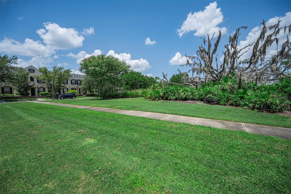 3436 Lonzalo Way New Port Richey, FL 34655 - Photo 48 of 52