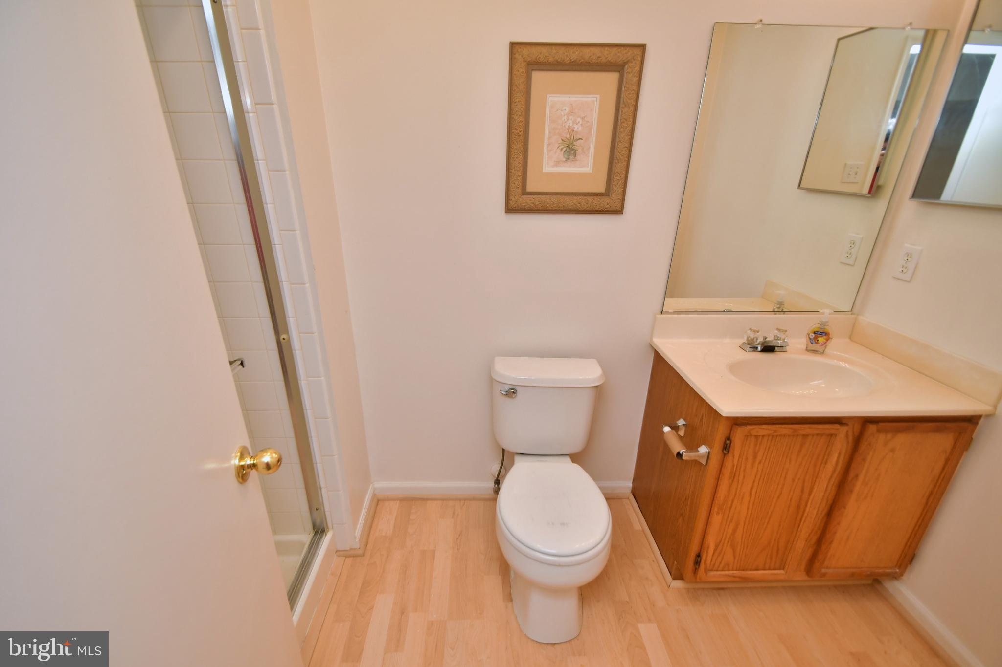 2071 Paperbark Road Baltimore, MD 21221 - Photo 20 of 46 Master Bathroom
