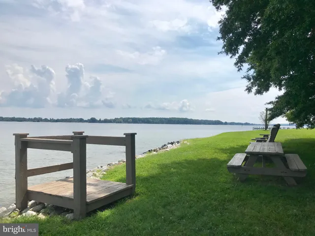 a view of a swimming pool with a garden