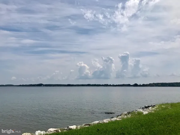 a view of a lake from a yard