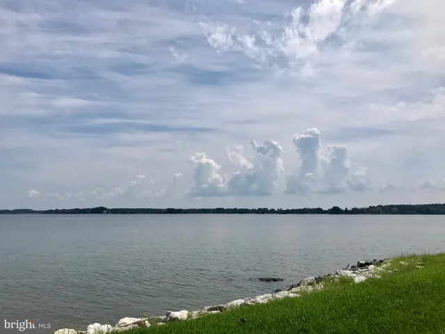 a view of a lake from a yard