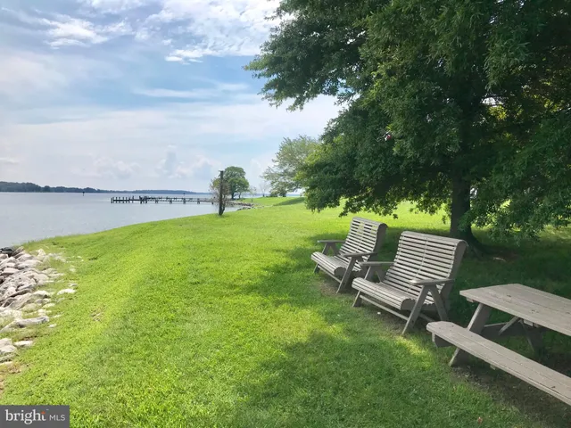 a view of a bench in the garden near a lake