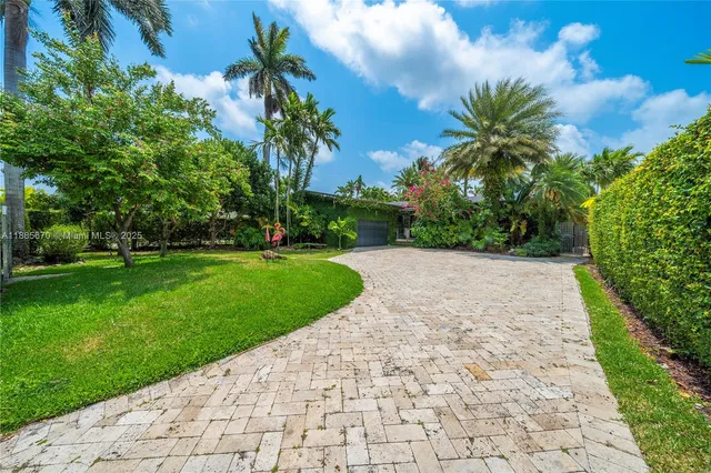a view of a yard with plants