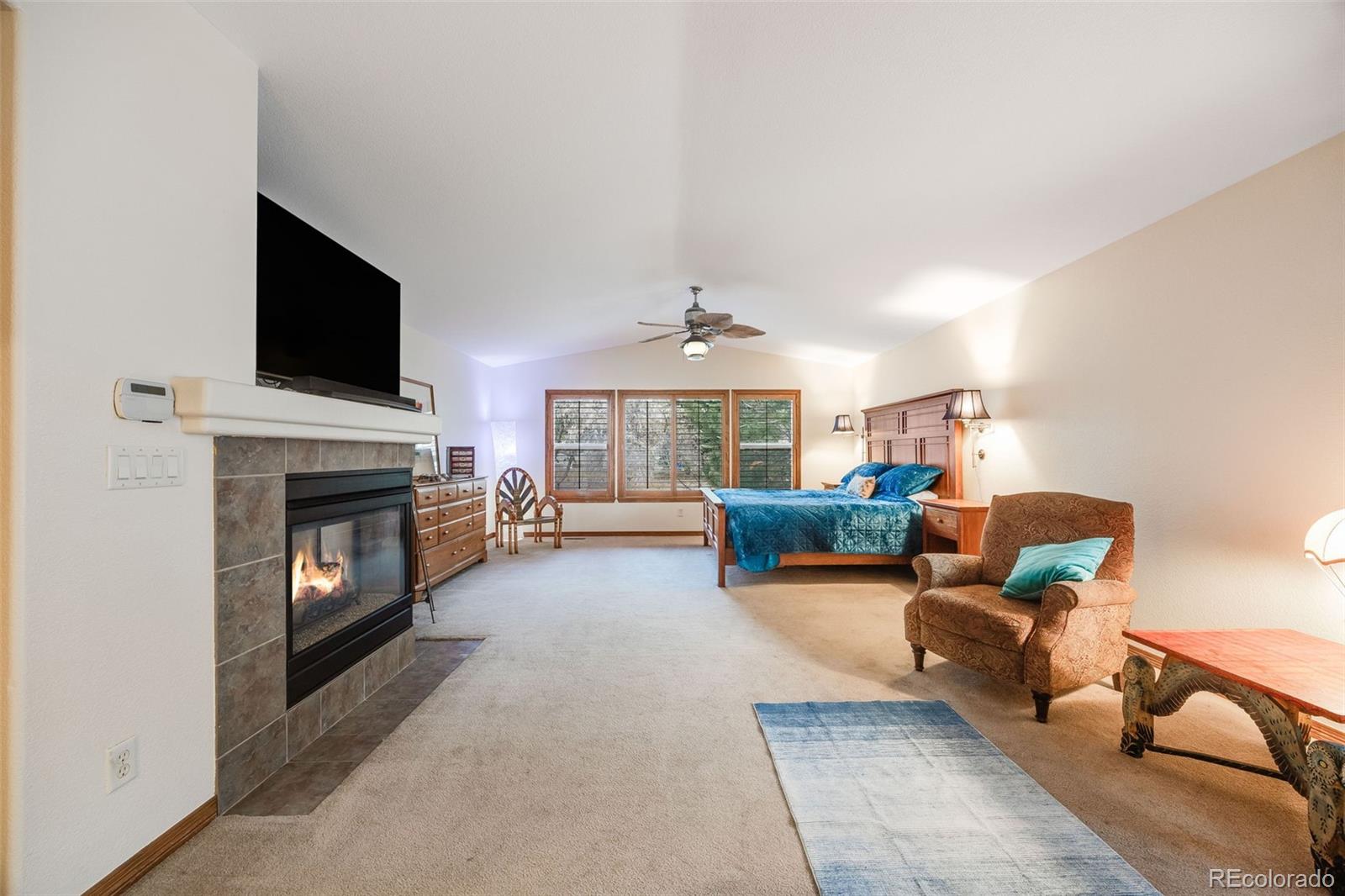 683 Ridgemont Circle Highlands Ranch, CO 80126 - Photo 20 of 50 Gallery Image 20