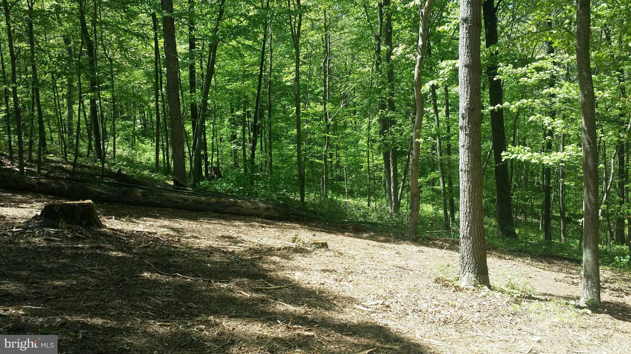 Sykesville Road Sykesville, MD 21784 - Photo 4 of 6 View
