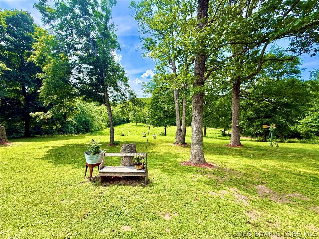 187 County Road Black, MO 63625 - Photo 42 of 50