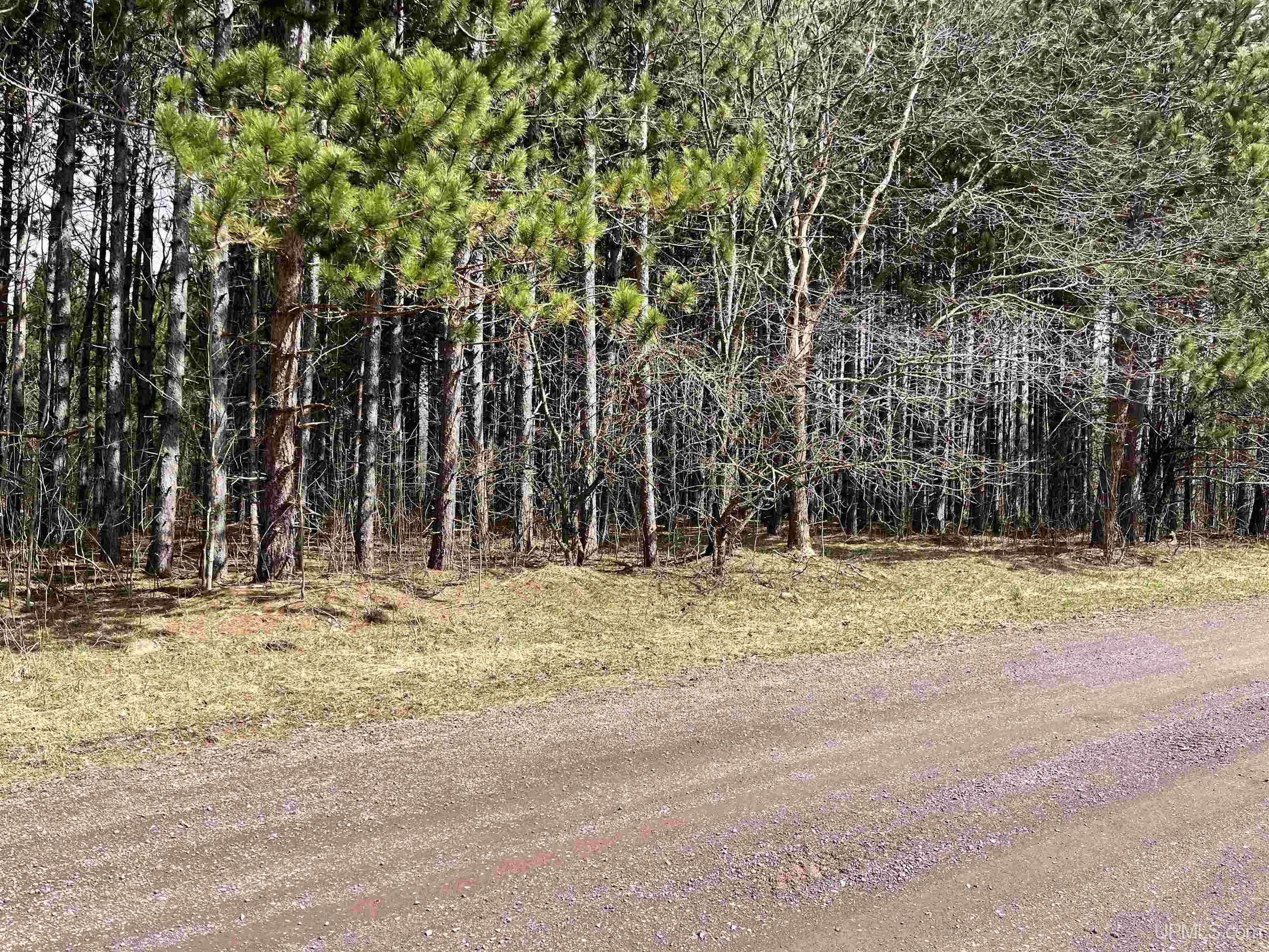 Tbd Tikka Road Ontonagon, MI 49953 - Photo 1 of 9