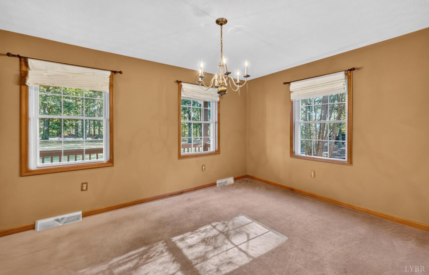 1277 Andersonville Road Dillwyn, VA 23936 - Photo 19 of 76 Gallery Image 19