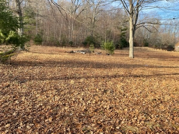 0 North Road Hampden, MA 01036 - Photo 2 of 11 a backyard of a house with lots of green space