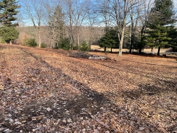 0 North Road Hampden, MA 01036 - Photo 3 of 11 a view of outdoor space with deck and trees
