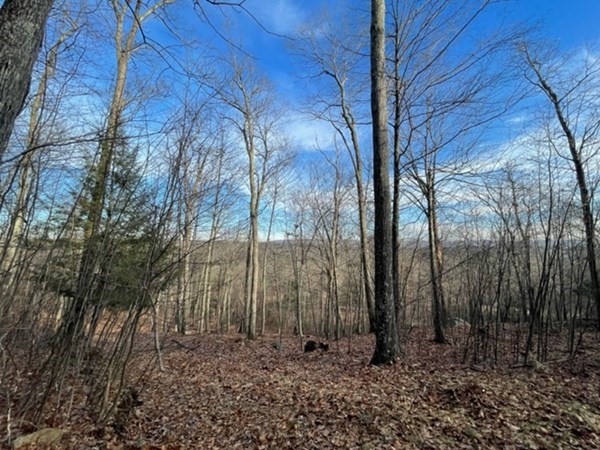 0 North Road Hampden, MA 01036 - Photo 6 of 11
