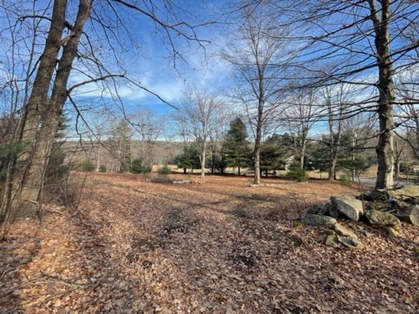 0 North Road Hampden, MA 01036 - Photo 10 of 11 a view of road with large trees