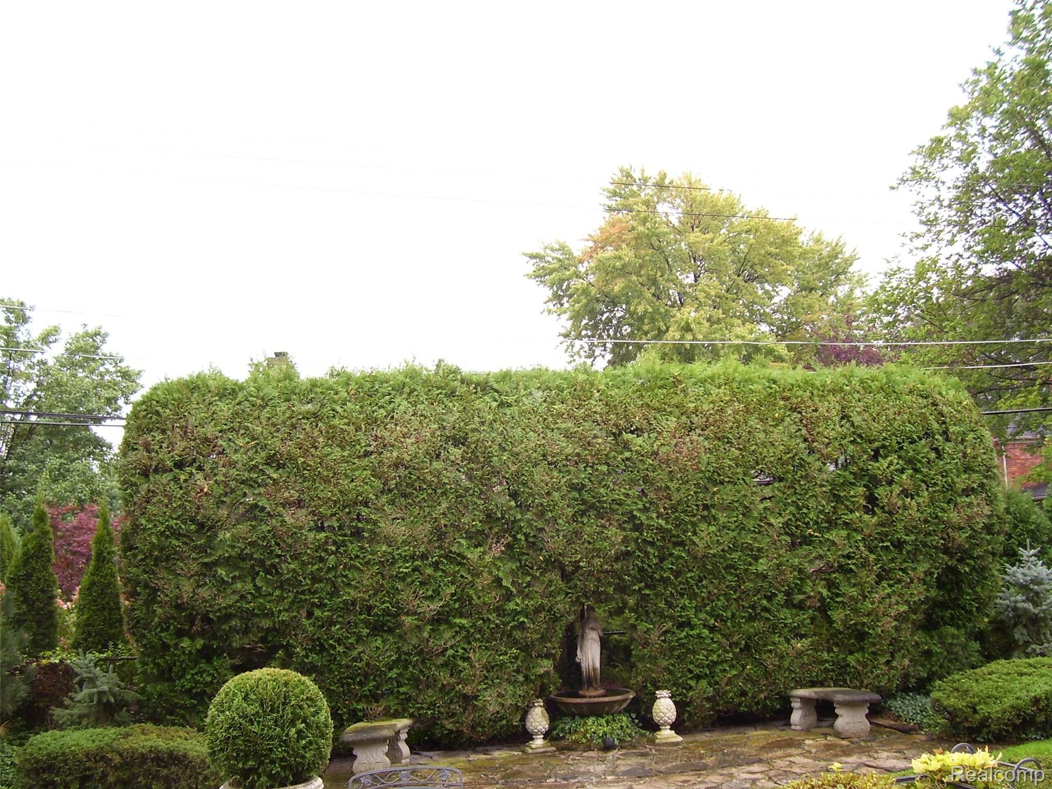 491 Colonial Road Grosse Pointe, MI 48236 - Photo 5 of 38 005_beyc69fd374f03af1.jpg