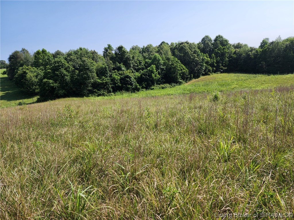 0 Heth Washington Road Southwest Central, IN 47112 - Photo 4 of 9