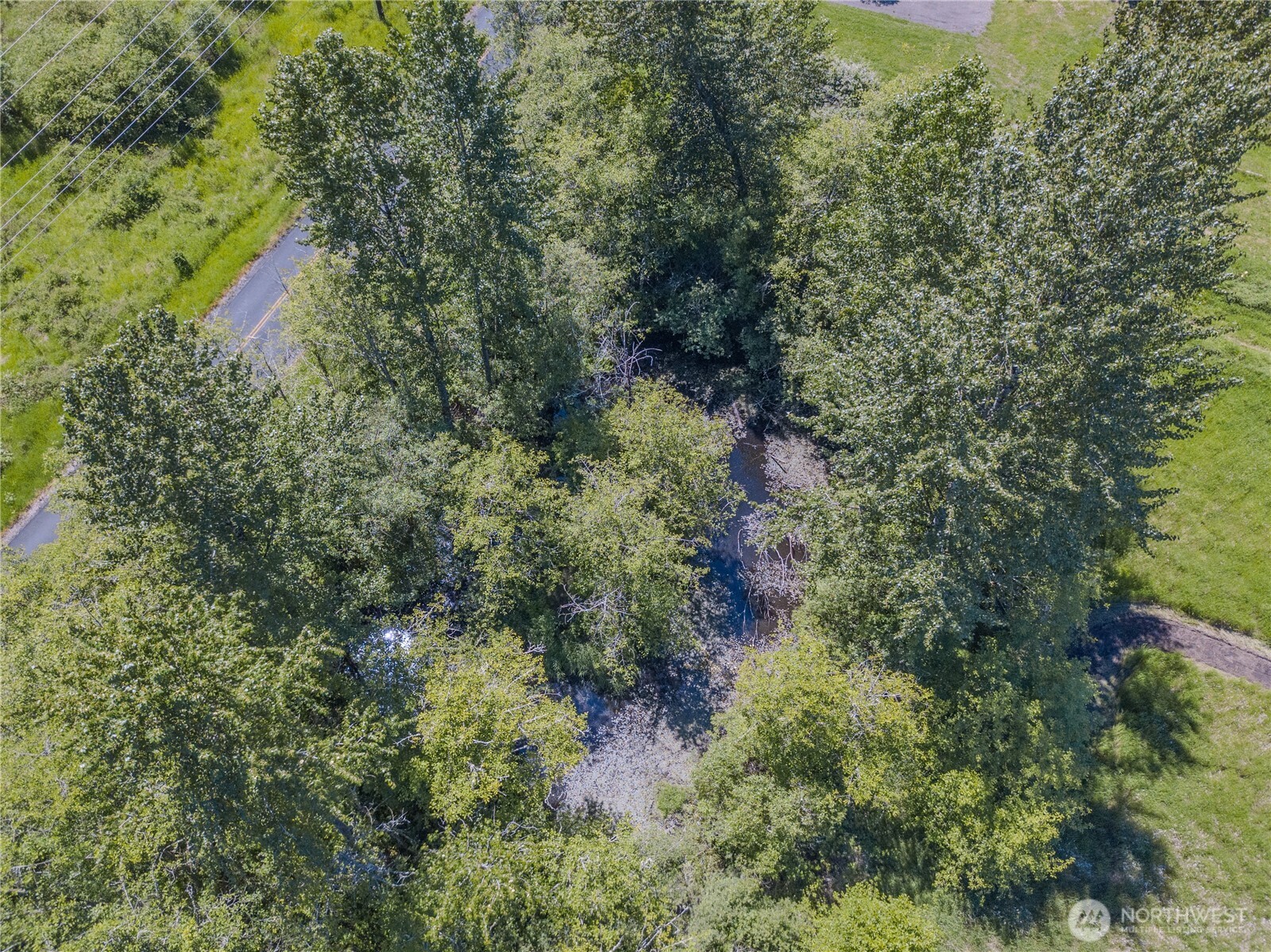 116 Gershick Road Silver Creek, WA 98585 - Photo 5 of 33