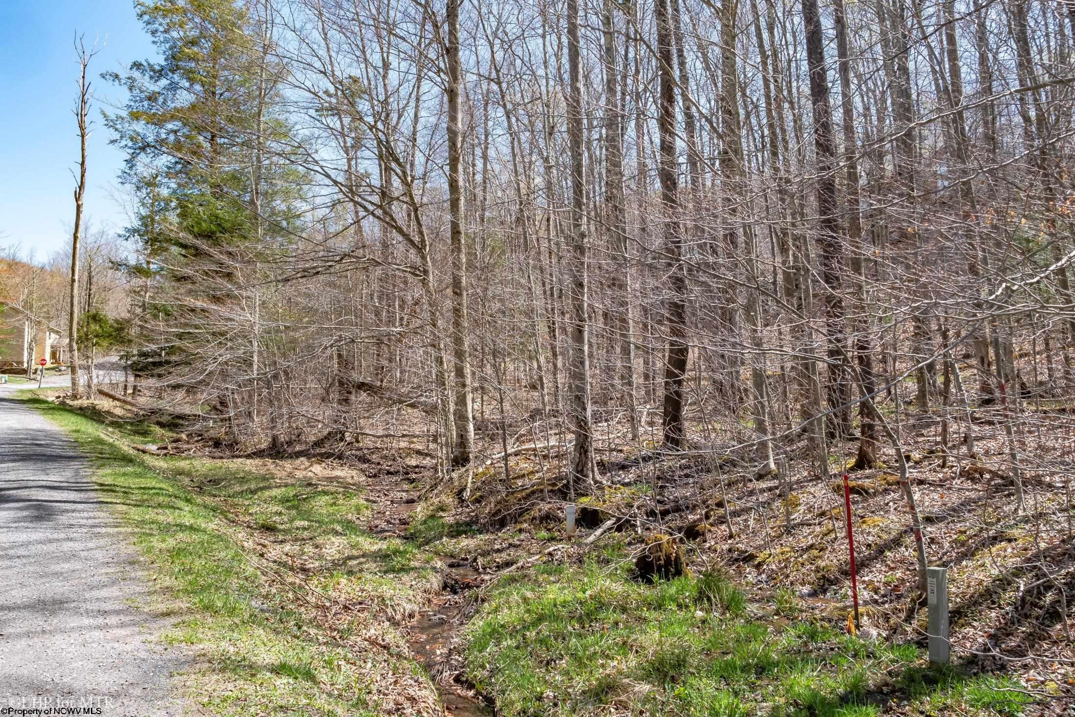58 Brookside Road Davis, WV 26260 - Photo 1 of 14 Gallery Image 1