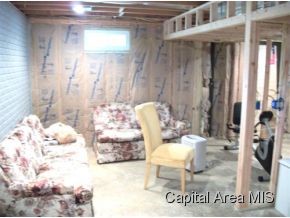 11 Fayette Street Bluffs, IL 62621 - Photo 6 of 7 Gallery Image 6