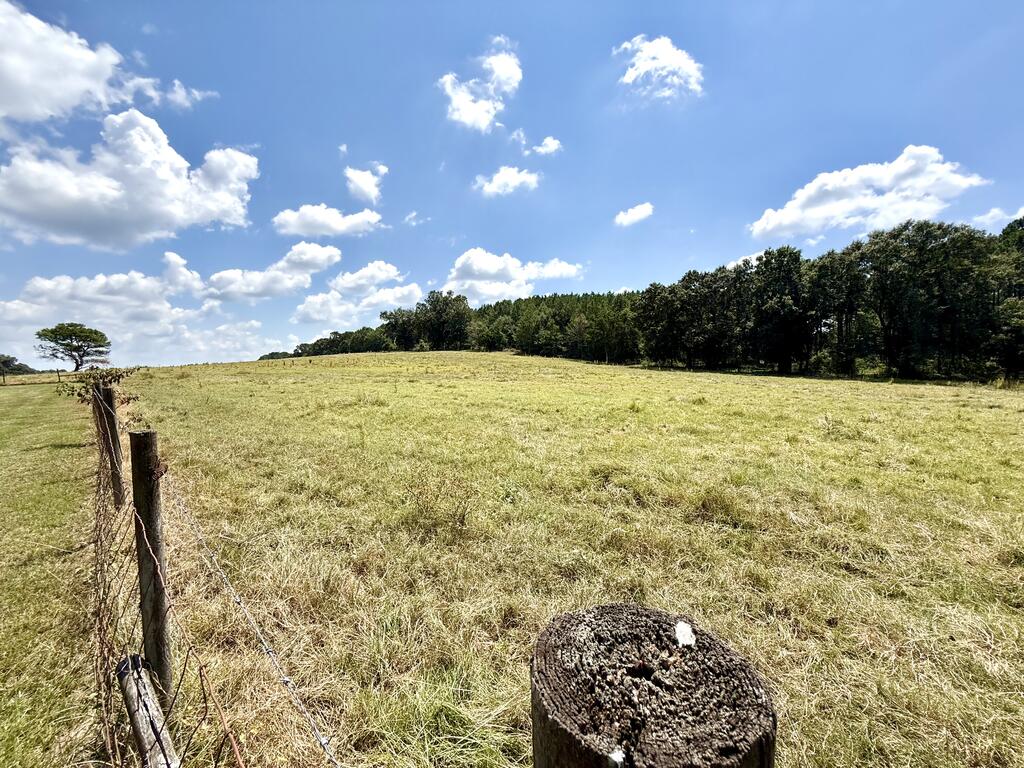 218 Chaney Branch Road Clio, AL 36017 - Photo 64 of 72 Gallery Image 64