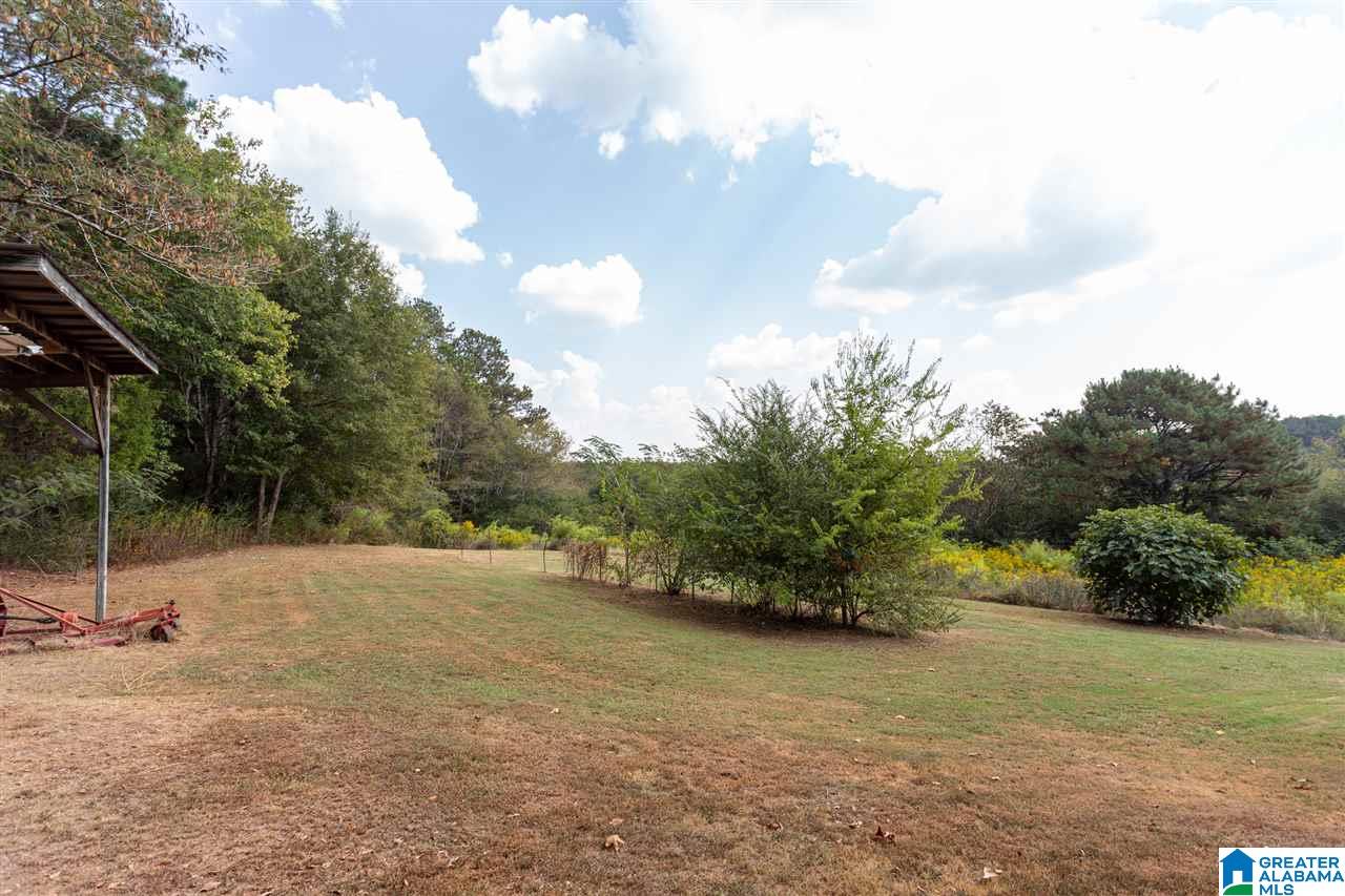 110 Mt Moriah Road Pell City, AL 35125 - Photo 41 of 44