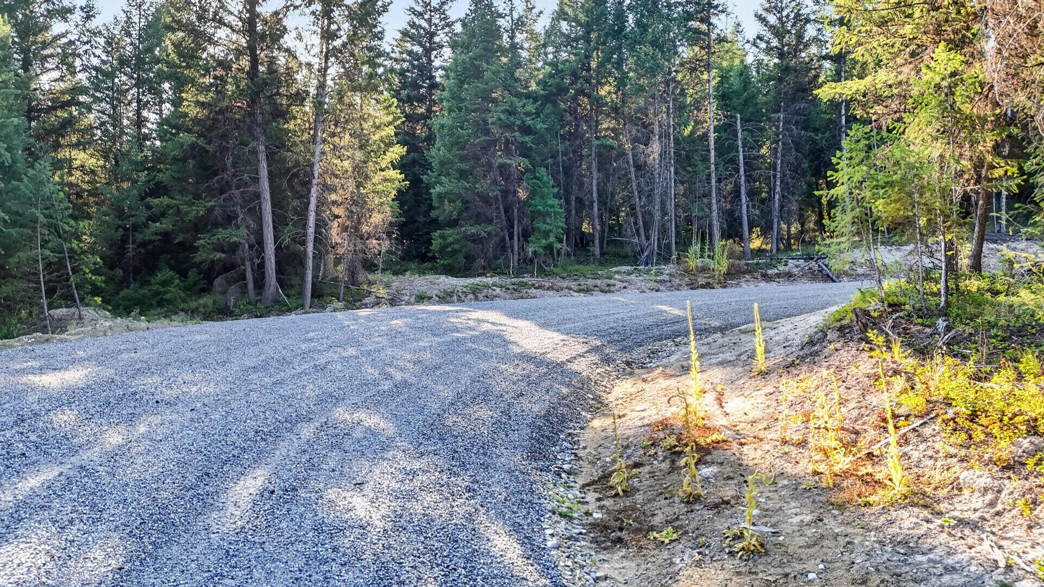 Lot 2 Forest Ridge Road Fortine, MT 59918 - Photo 10 of 22 Gallery Image 10