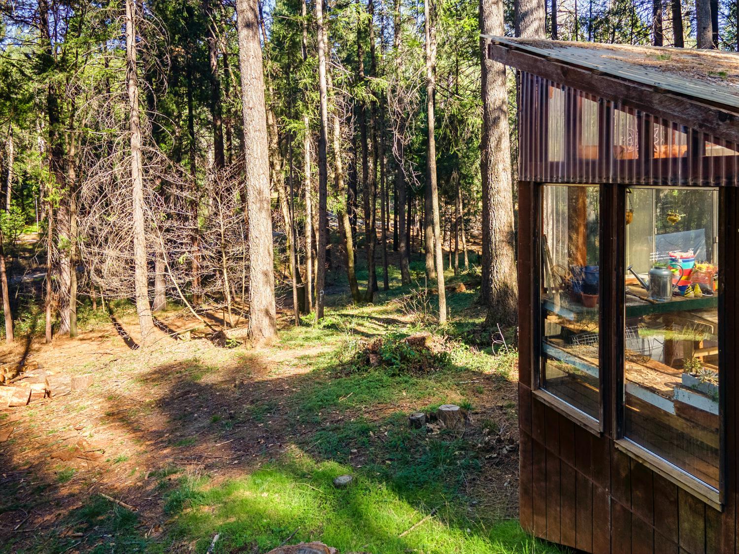 22700 Johnson Valley Road Foresthill, CA 95631 - Photo 30 of 68 a view of a backyard of the house