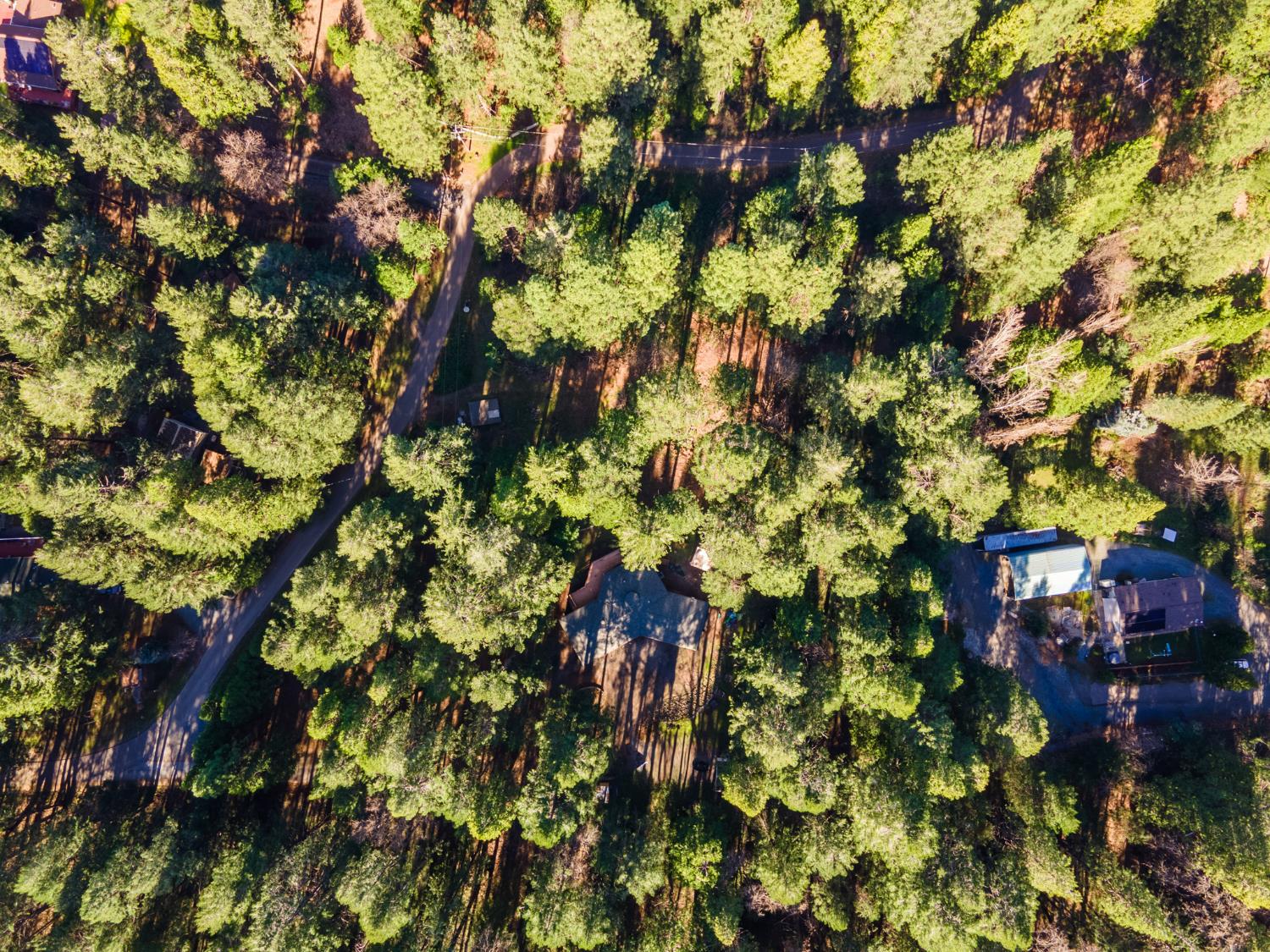 22700 Johnson Valley Road Foresthill, CA 95631 - Photo 42 of 68 a view of a tree