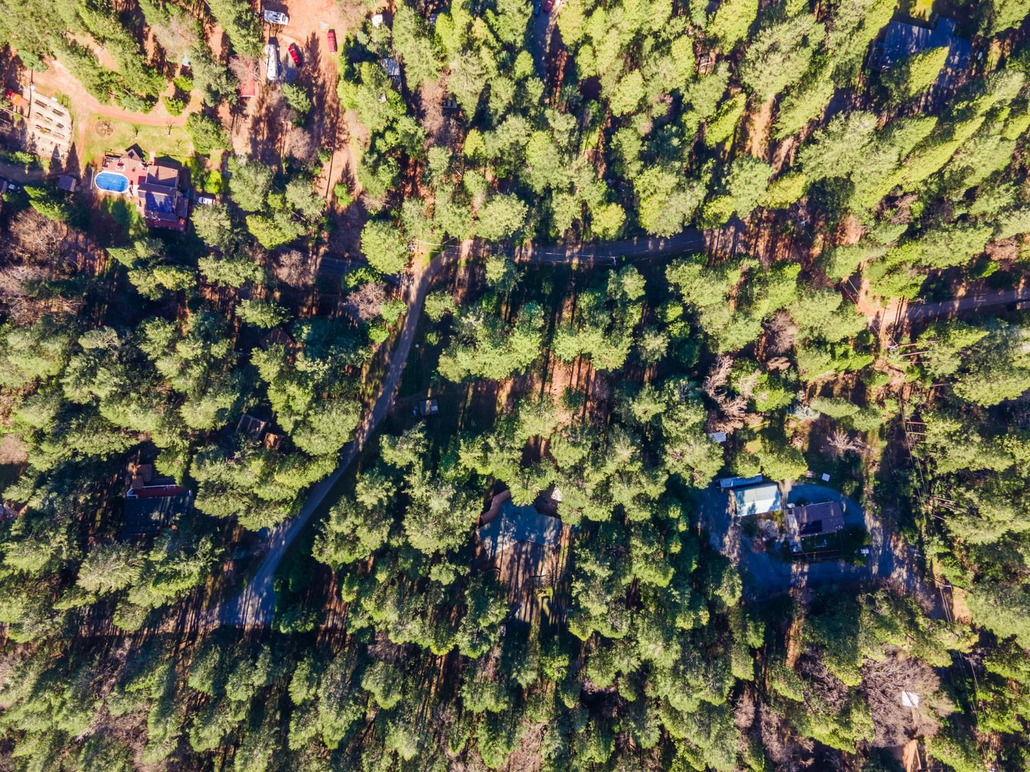 22700 Johnson Valley Road Foresthill, CA 95631 - Photo 44 of 68 a view of a tree