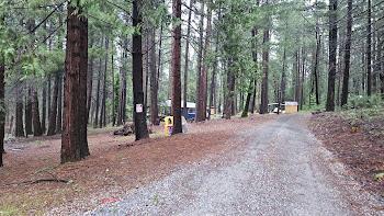 22700 Johnson Valley Road Foresthill, CA 95631 - Photo 47 of 68 a view of outdoor space with deck and tree