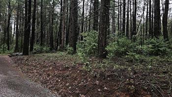 22700 Johnson Valley Road Foresthill, CA 95631 - Photo 48 of 68 a view of outdoor space with lots of trees
