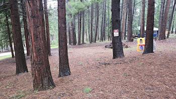 22700 Johnson Valley Road Foresthill, CA 95631 - Photo 49 of 68 a view of a backyard with large trees and wooden fence