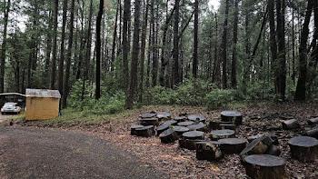 22700 Johnson Valley Road Foresthill, CA 95631 - Photo 51 of 68 a picture of outdoor space with lots of trees