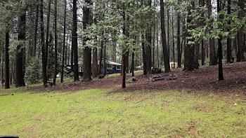 22700 Johnson Valley Road Foresthill, CA 95631 - Photo 53 of 68 a view of outdoor space with deck and trees