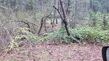 22700 Johnson Valley Road Foresthill, CA 95631 - Photo 61 of 68