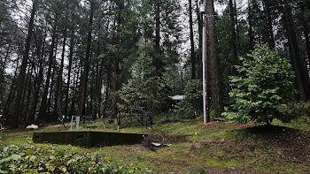 22700 Johnson Valley Road Foresthill, CA 95631 - Photo 64 of 68