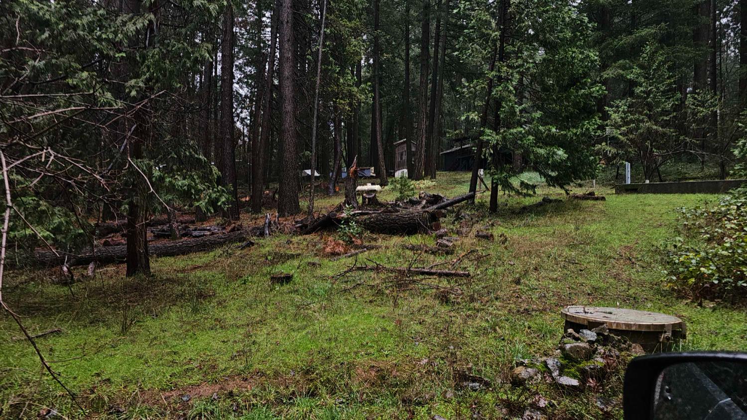 22700 Johnson Valley Road Foresthill, CA 95631 - Photo 65 of 68 a view of backyard with green space