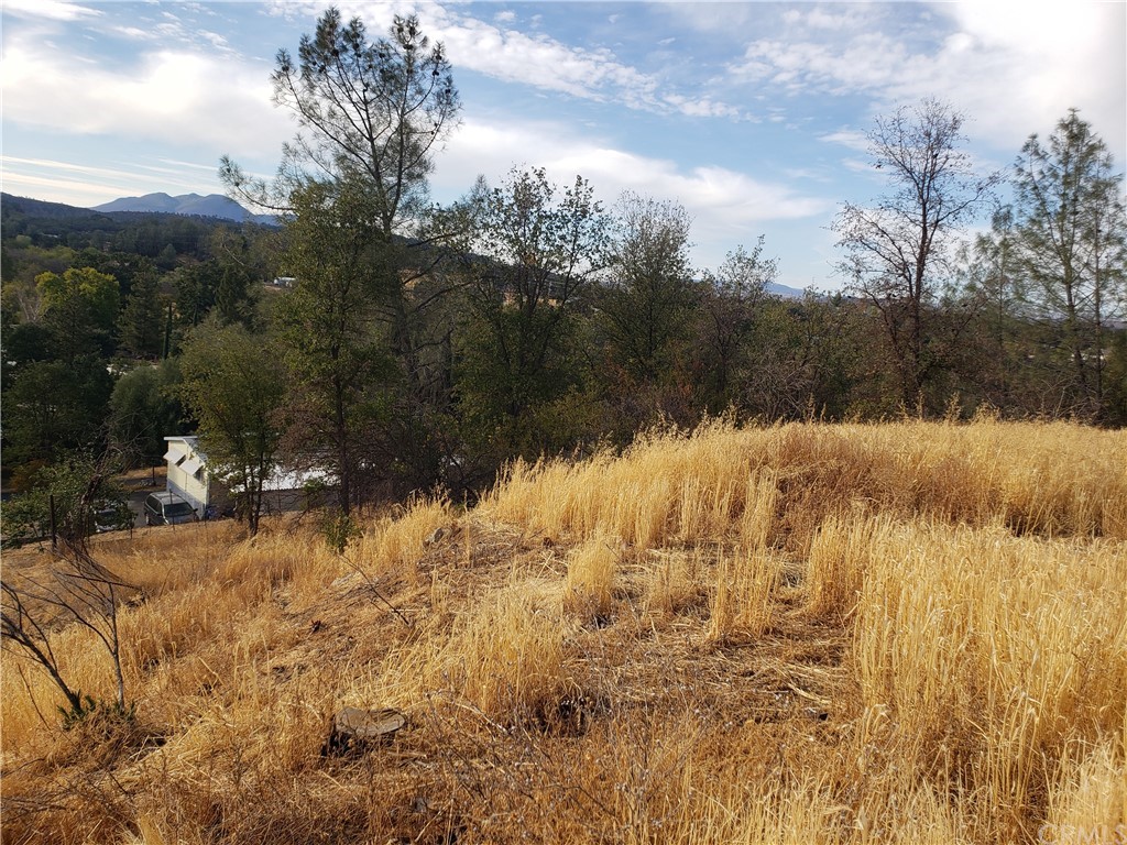 10167 Bell Circle South Lower Lake, CA 95457 - Photo 1 of 12 a view of ocean