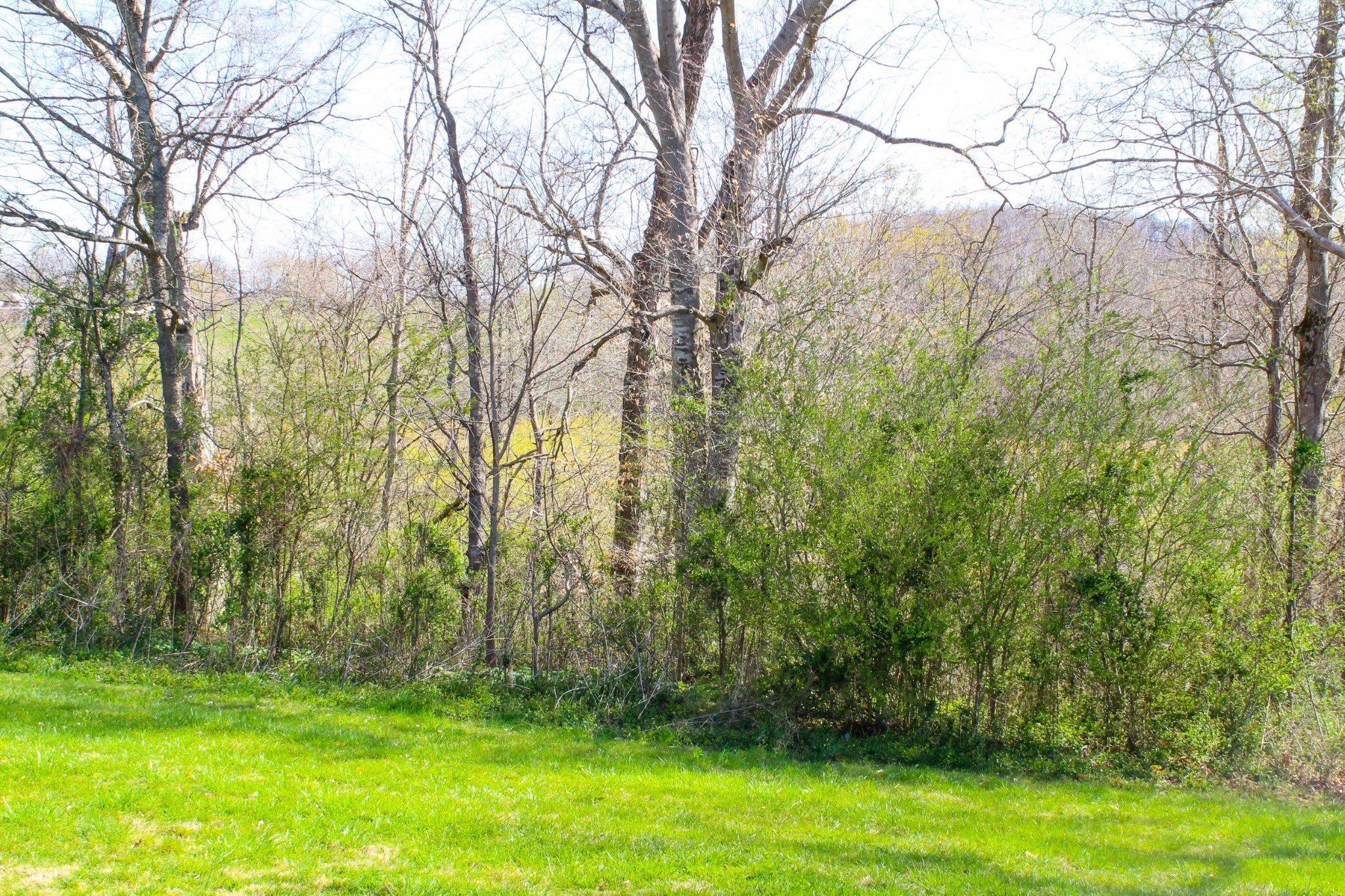 52 Red Hill-Center Road Lawrenceburg, TN 38464 - Photo 8 of 32 Gallery Image 8