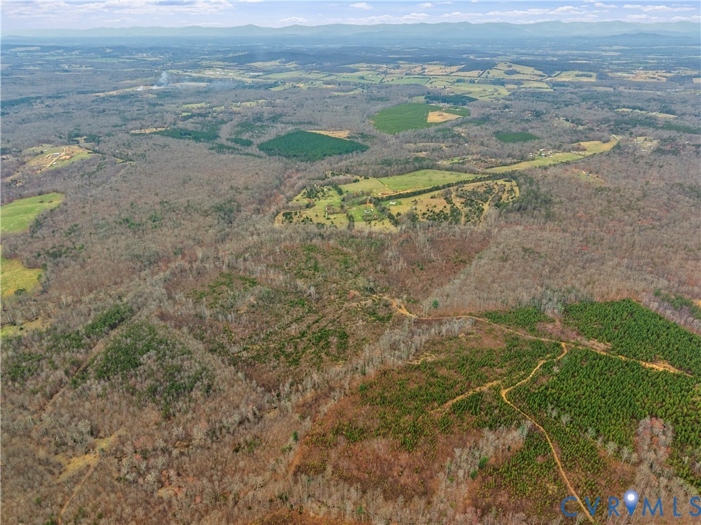 80.70-acres Kendall Road Orange, VA 22960 - Photo 18 of 21 Expansive land featuring diverse tree coverage, in