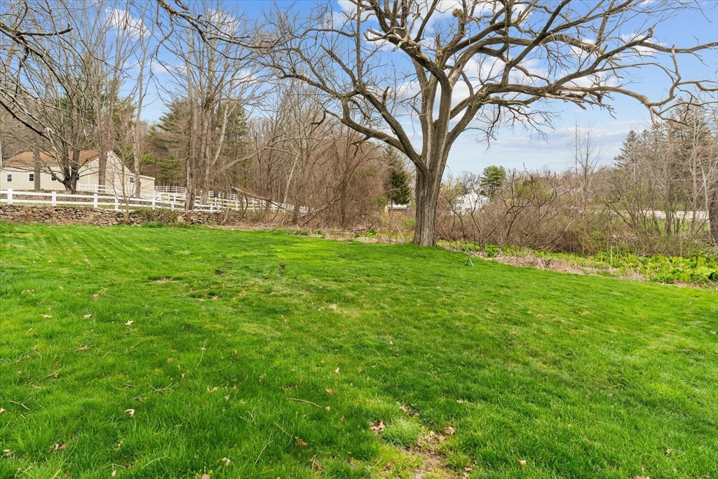 3 Douglas Road Webster, MA 01570 - Photo 21 of 24 a view of yard with large trees