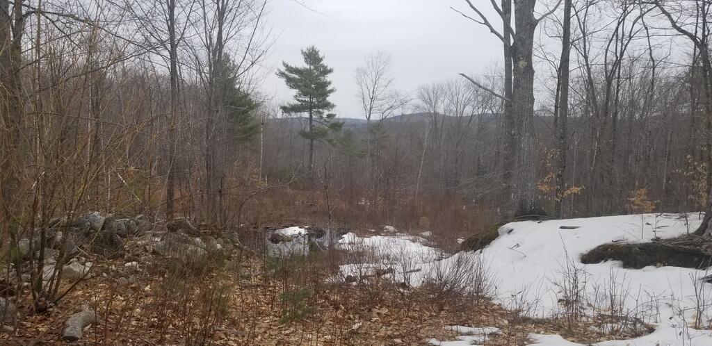 Lot 42-43 Adams Road Chesterville, ME 04938 - Photo 12 of 19 20230411_141914_resized