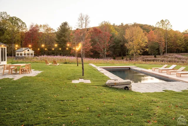 a view of ocean with large trees