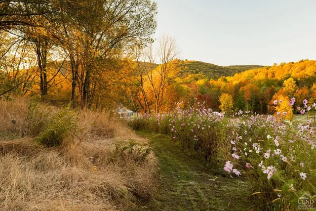 $38,000 | 40 Hellbrook Lane, Ulster Park, NY 12487