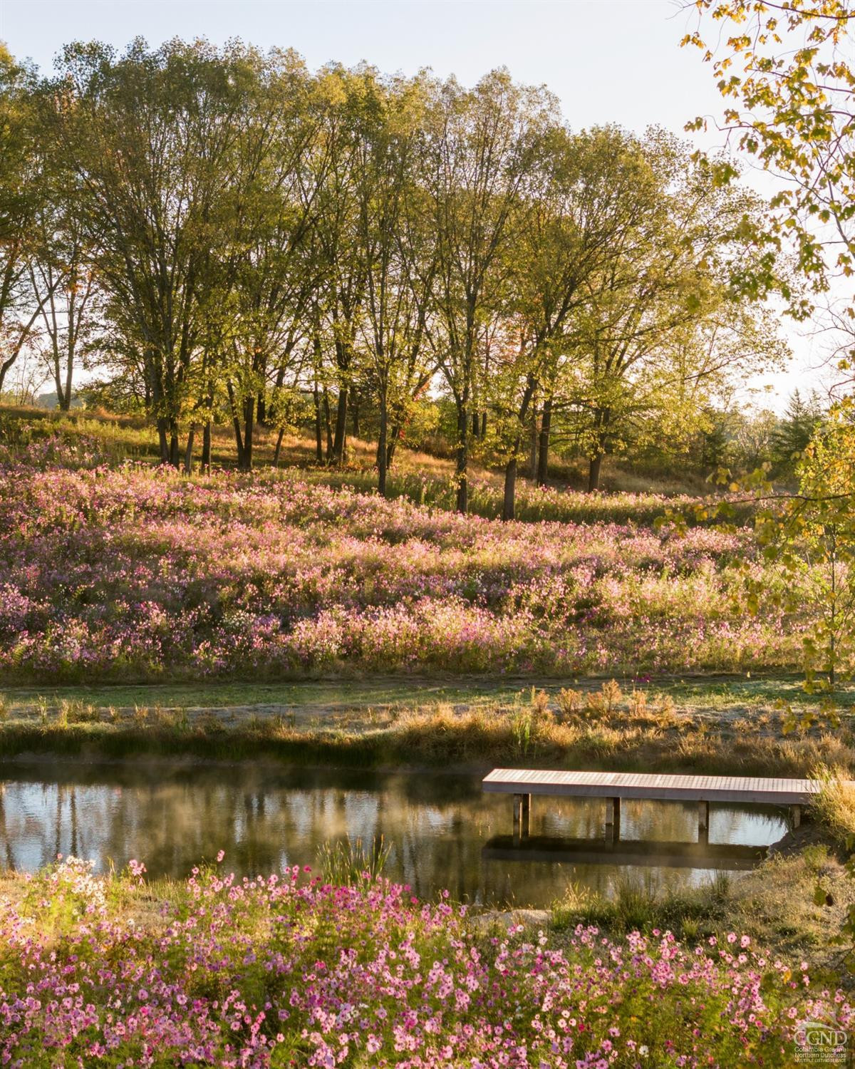 40 Hellbrook Lane Ulster Park, NY 12487 - Photo 39 of 40