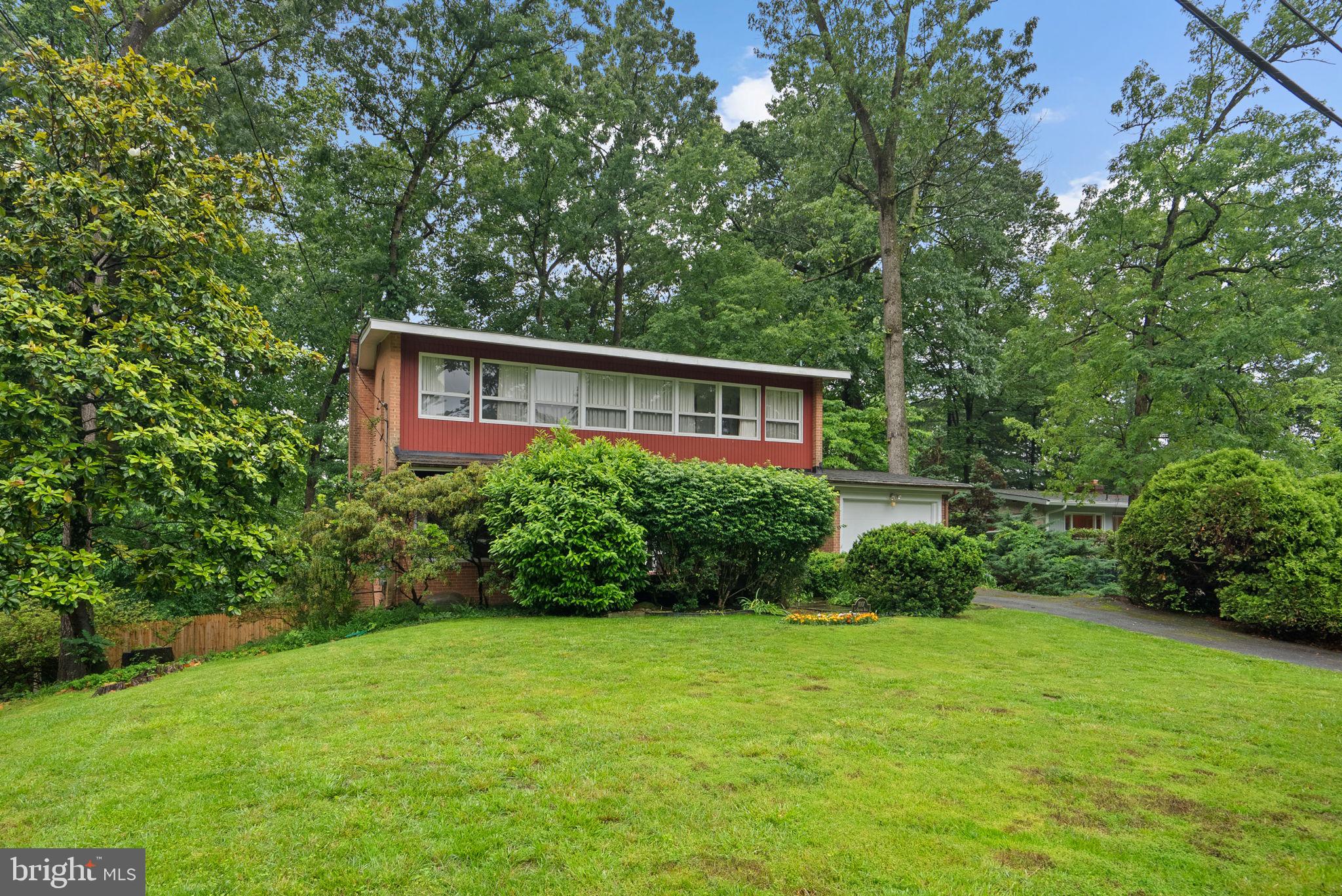 1007 La Grande Road Silver Spring, MD 20903 - Photo 2 of 48 a view of a backyard with plants and large trees