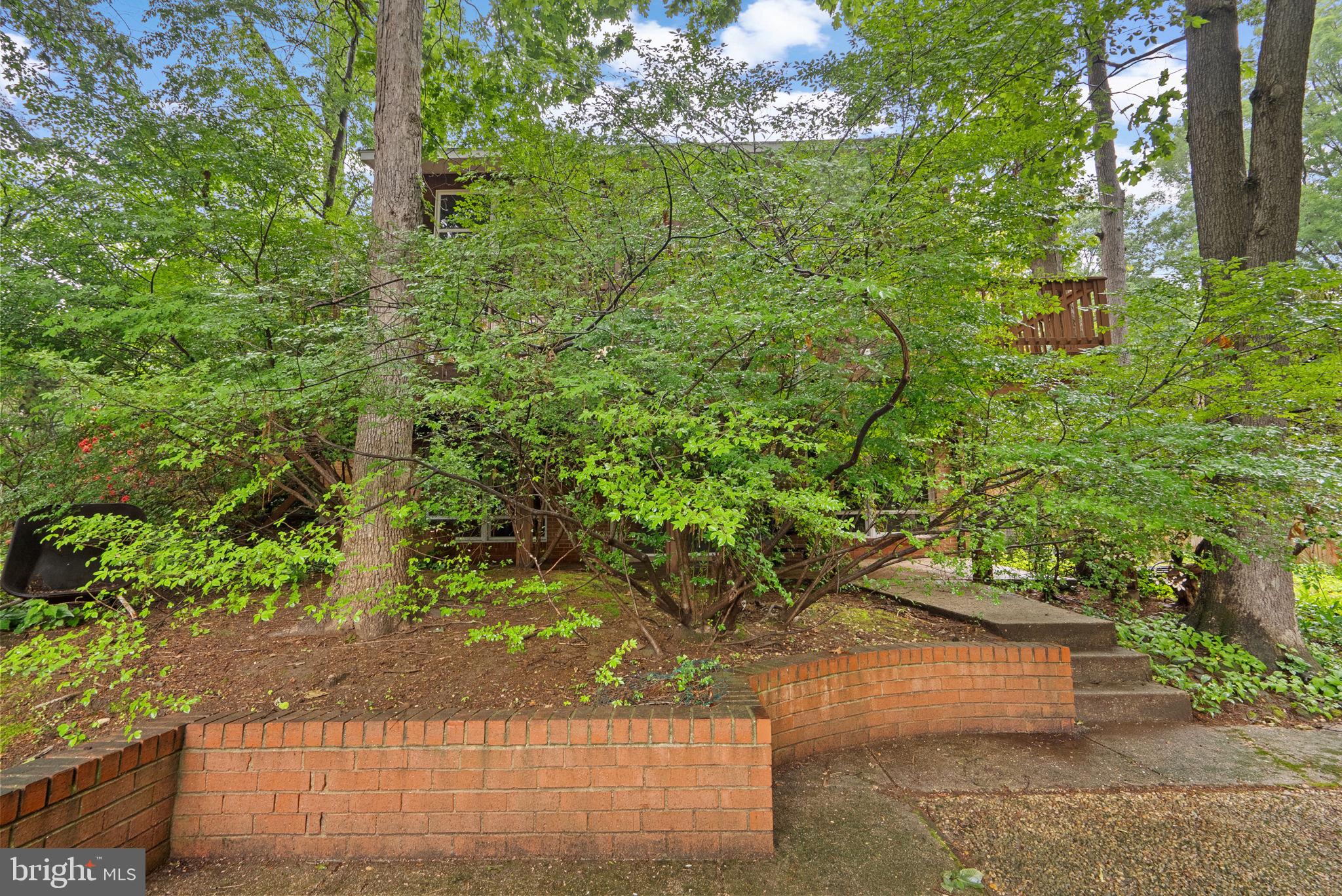1007 La Grande Road Silver Spring, MD 20903 - Photo 42 of 48 a view of yard
