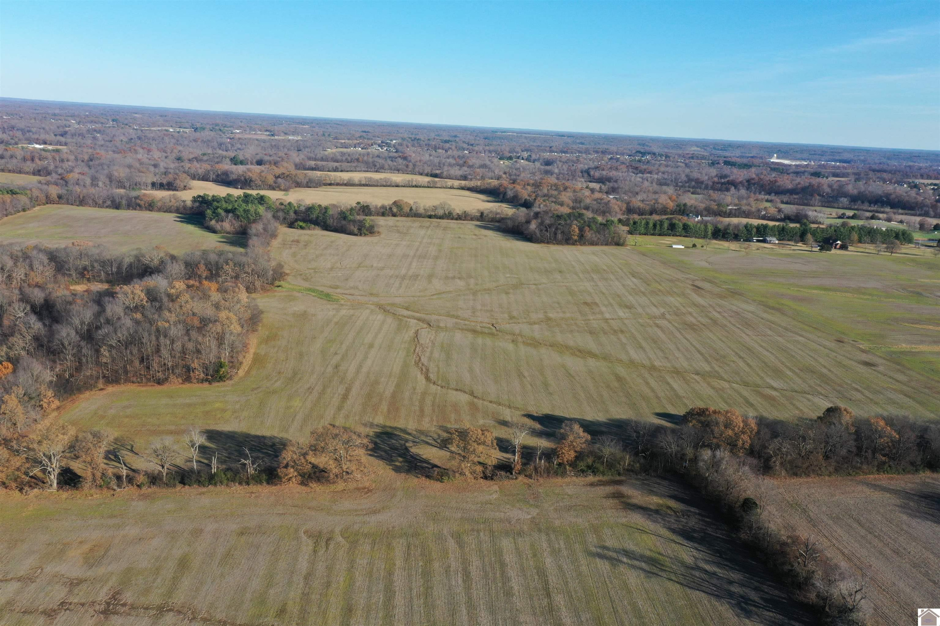 0 Coles Campground Road Murray, KY 42071 - Photo 4 of 15 Photo 4