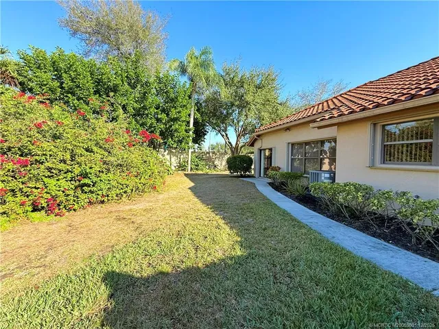 a view of a backyard with plants and large tree