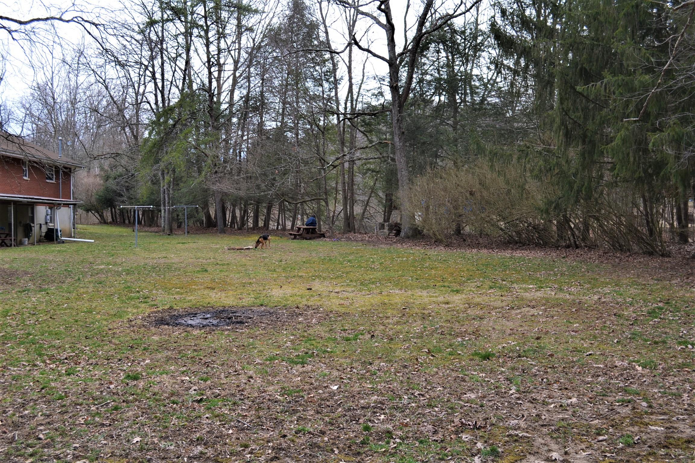 708 Harts Run Road Caldwell, WV 24925 - Photo 15 of 84 Gallery Image 15